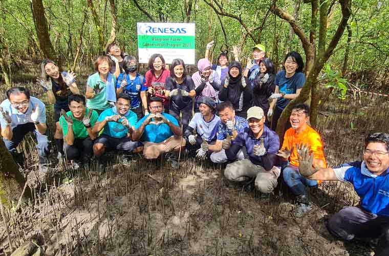 Mangrove Forest Conservation (Malaysia)