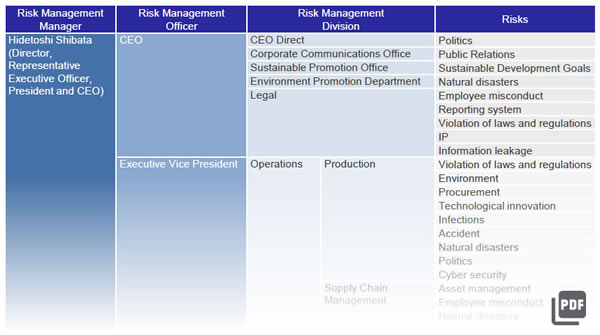 Renesas Risk Management System