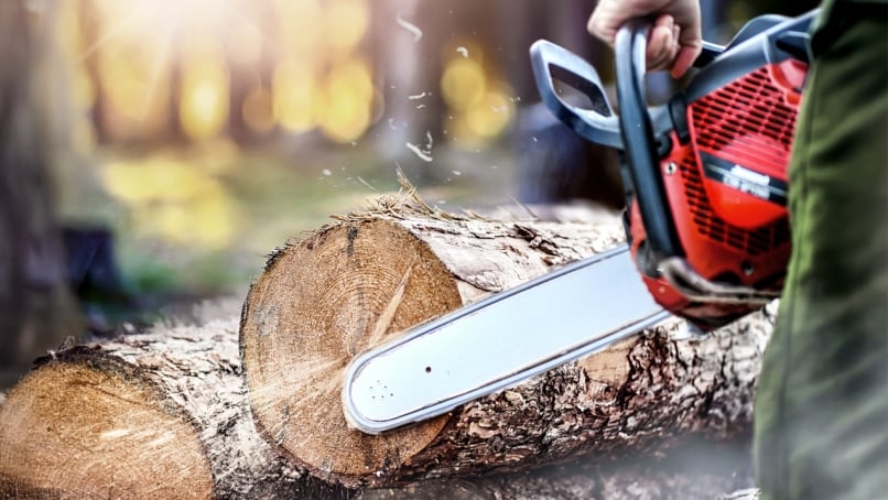 Person cutting wood using a chainsaw in a forest with sawdust flying around.