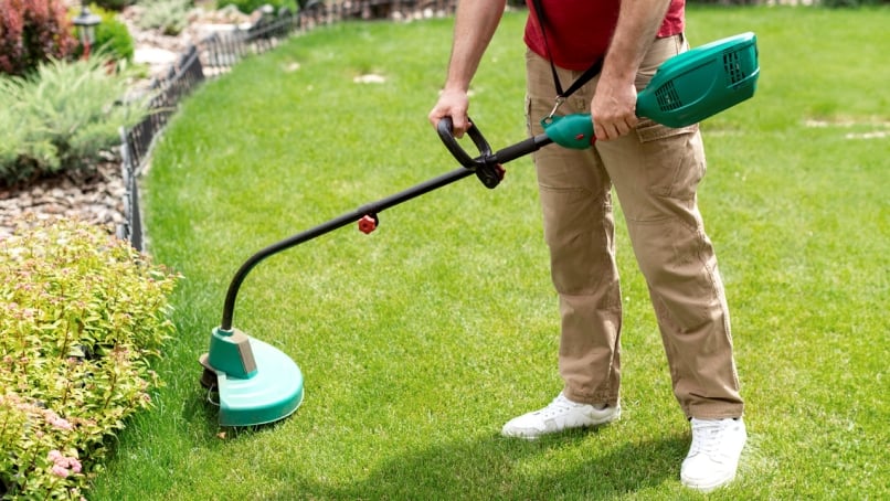 Gardener holding electric weed trimmer to trim grass in his garden.
