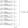 853S058I - Block Diagram