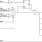 854S015I-01 - Block Diagram