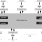 89HPES34H16 - Block Diagram