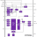 IDTP9036A Block Diagram