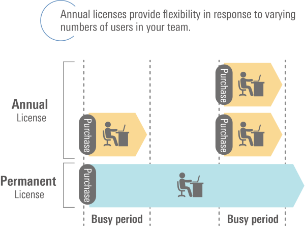 Difference between Permanent License and Annual License