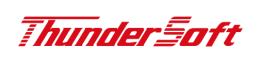 ThunderSoft logo